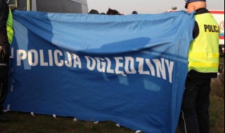 Horror na posesji pod Skierniewicami: Policja znalazła 16 martwych psów, dziesiątki zwierząt wywiezionych w nocy