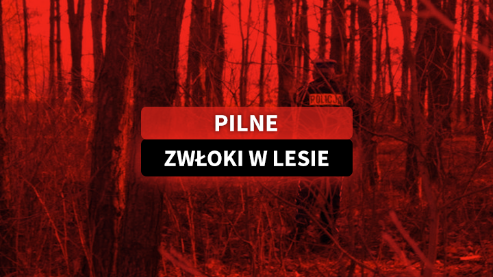 Tragedia w gminie Piątek. W lesie znaleziono zwłoki mężczyzny
